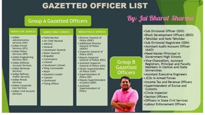 Are central university professors gazetted officers?