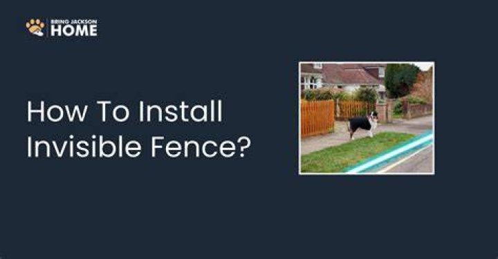 Are Invisible Fences real?