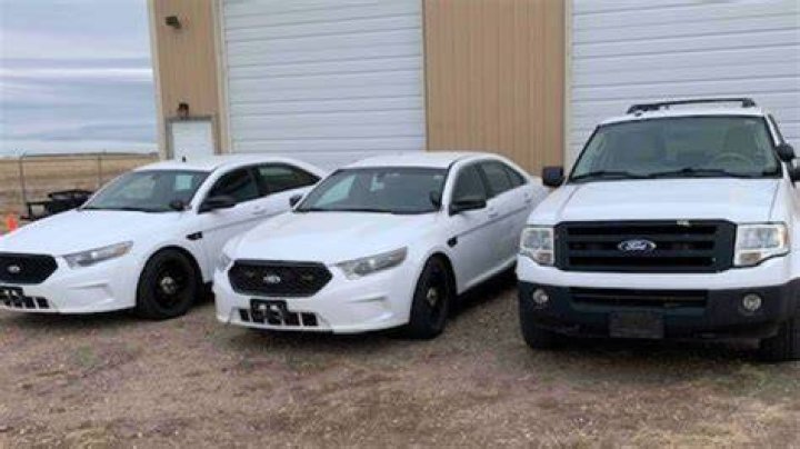 Are sheriff auctions worth it?