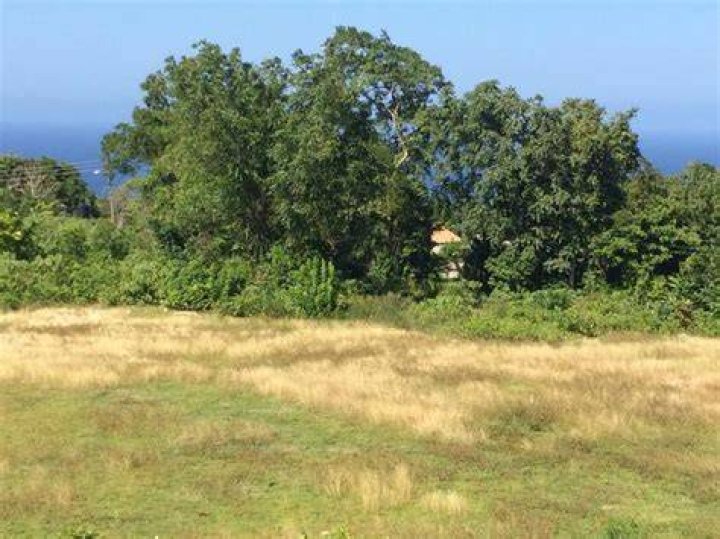 Are the Chinese buying land in Jamaica?