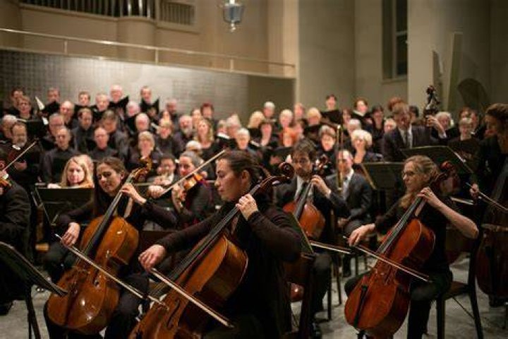 Are there left-handed violinists in orchestras?