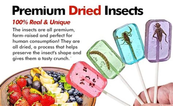 Are there really bugs in candy?