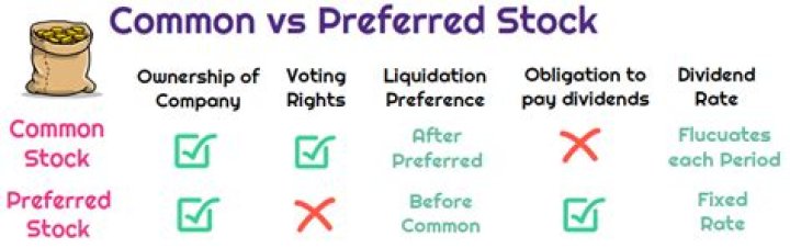 Can a company only issue preferred stock?