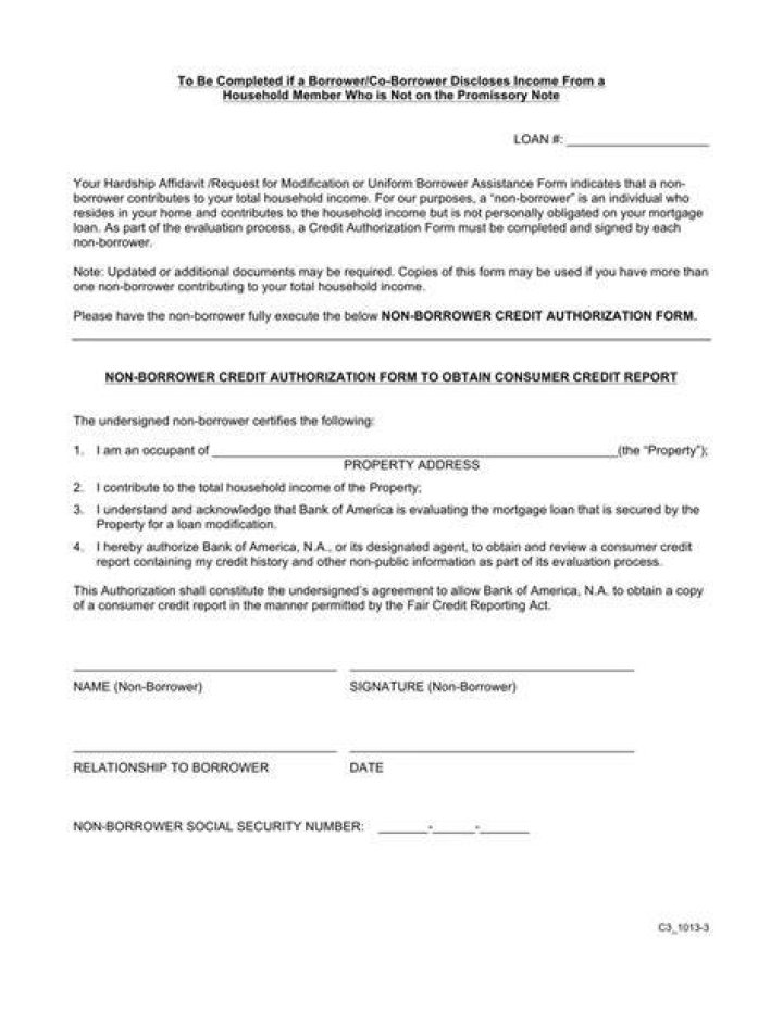Can a non borrower be on a mortgage?