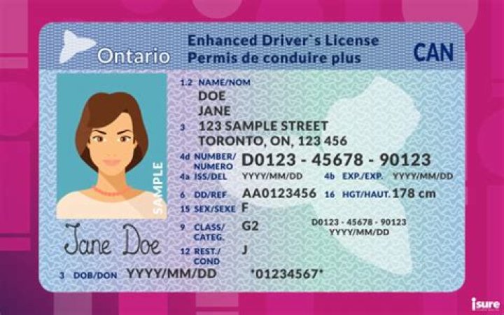 Can I be the primary driver on 2 cars Ontario?