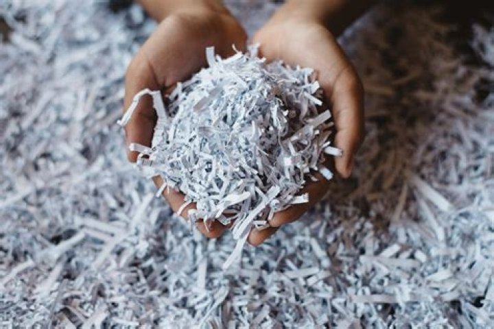 Can I use shredded paper for mice?