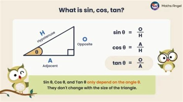 Can you cosign for multiple things?
