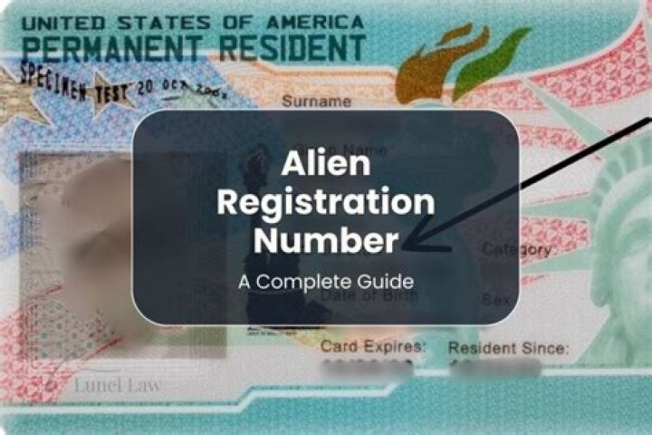 Can you have a Social Security number and an alien registration number?