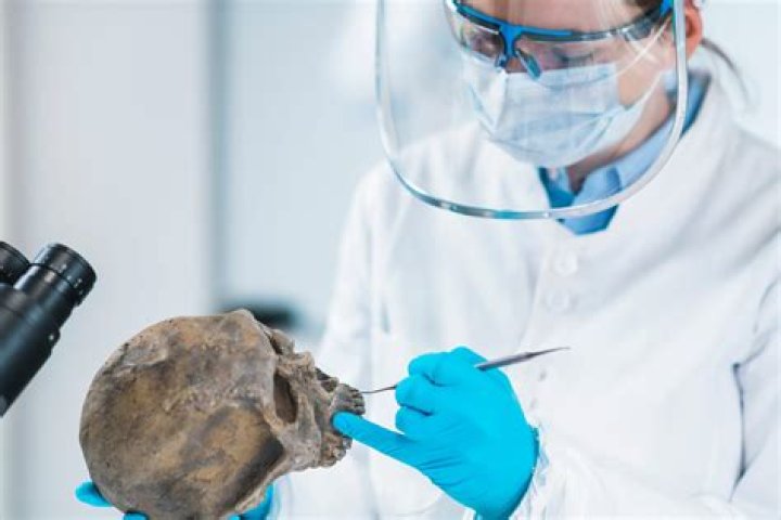 Do forensic anthropologists get paid well?