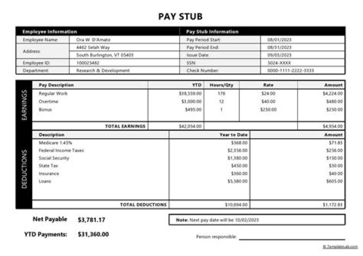 Does pay stub have year-to-date?