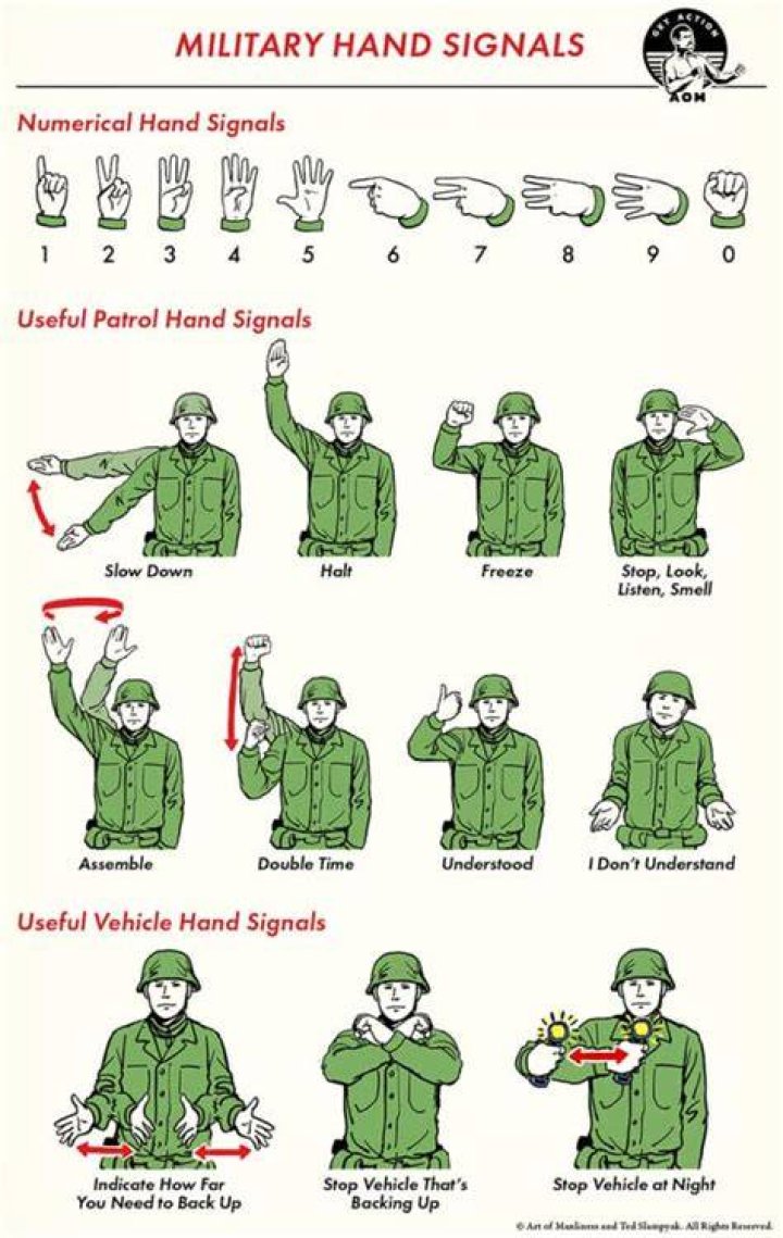 Does the military teach you how do you use a gun?