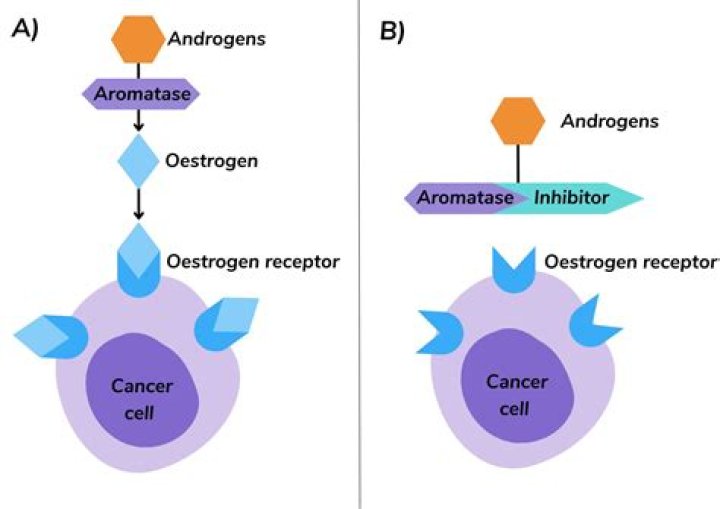 How do drugs act as inhibitors?