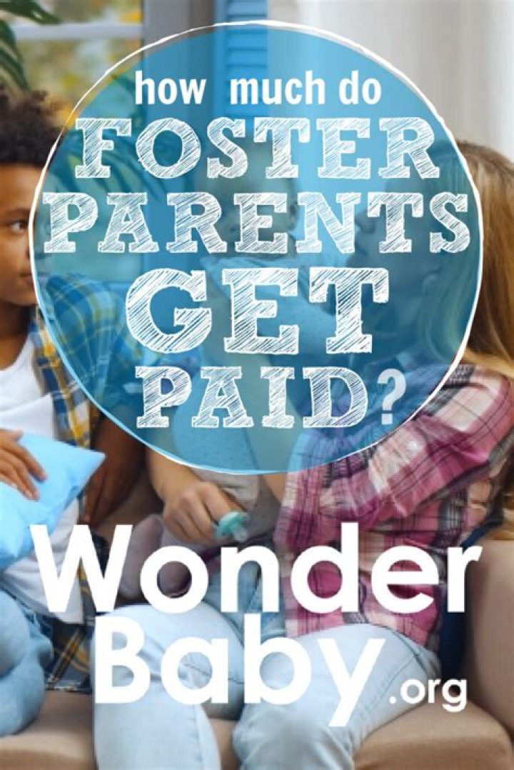 How do foster agencies make money?