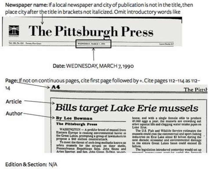 How do I cite an online Newspaper article?