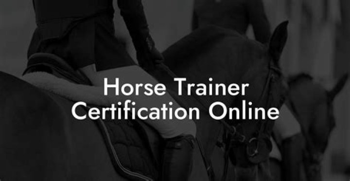 How do you become a professional horse trainer?