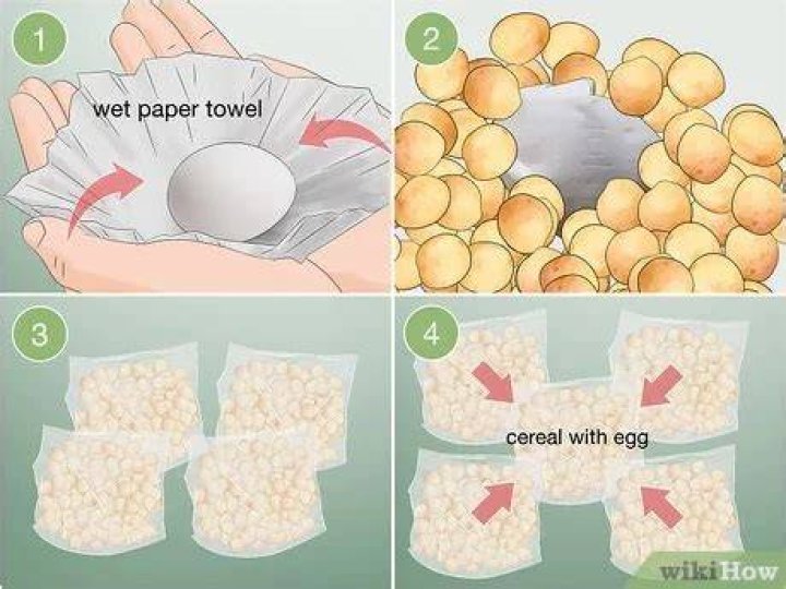 How do you keep an egg from breaking when dropped with paper?