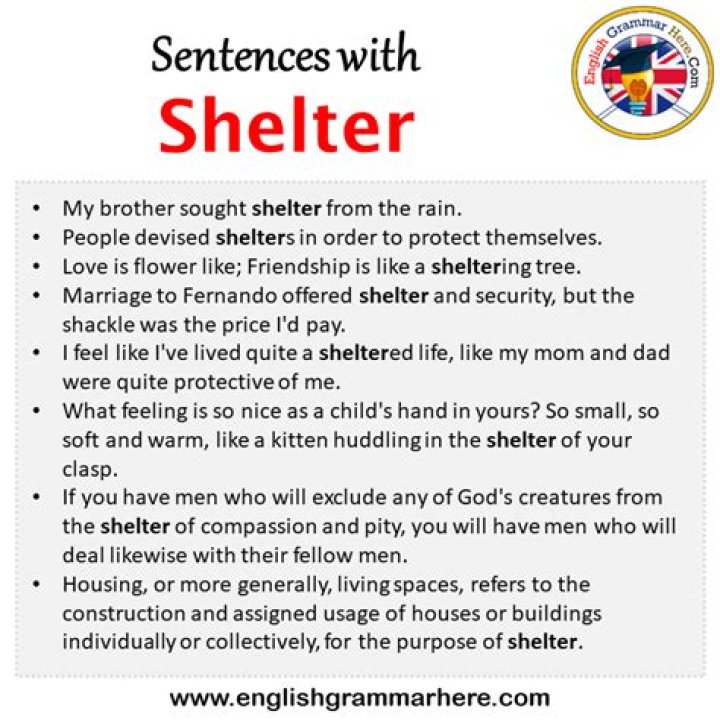 How do you use shelter in a sentence?