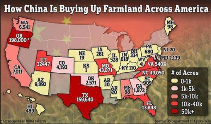 How does land ownership in China work?