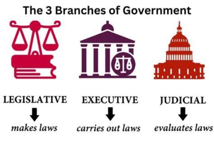 How does the African government work?