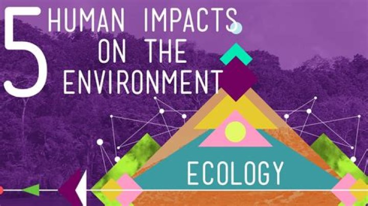 How does the environment affect humans?