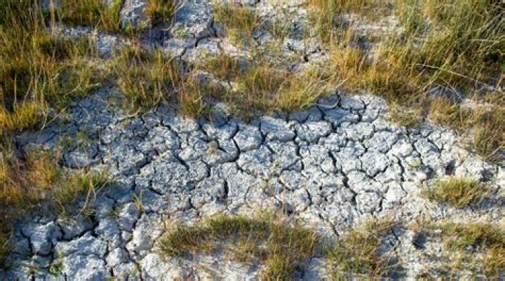 How ecological imbalance has affected the life of man?