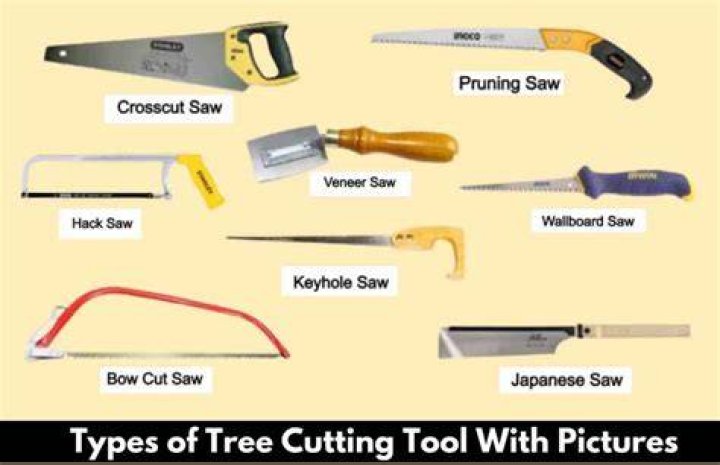 How is cutting defined in the article?