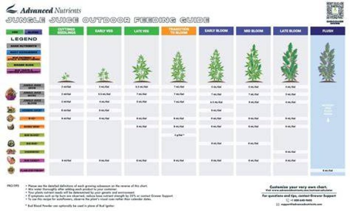 How long does it take for marijuana to grow after flowering?