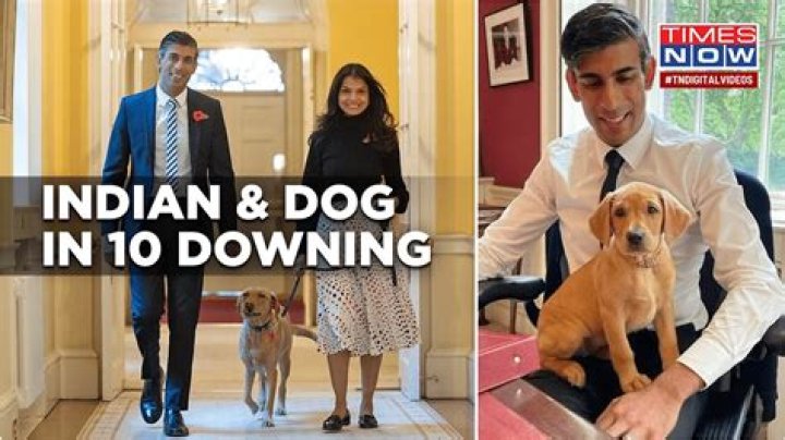 How many dogs are allowed in a house in Las Vegas?