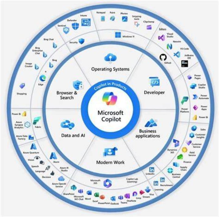 How many Microsoft branches are there?
