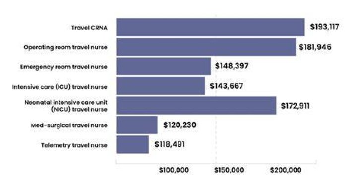 How many months out of the year do travel nurses work?