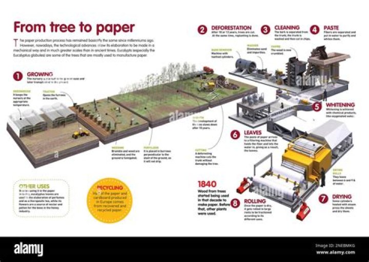 How many trees are made into paper each year?