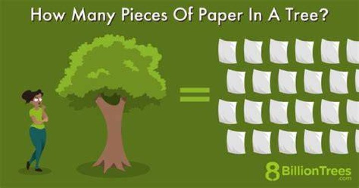 How many trees make a newspaper?