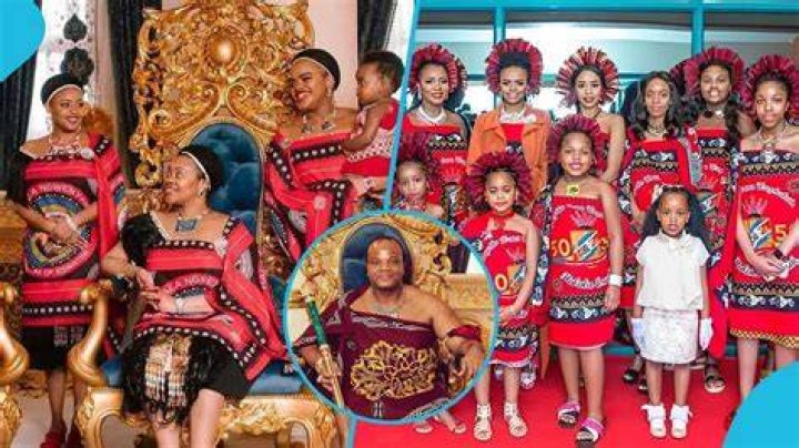How many wives do king of Swaziland have?