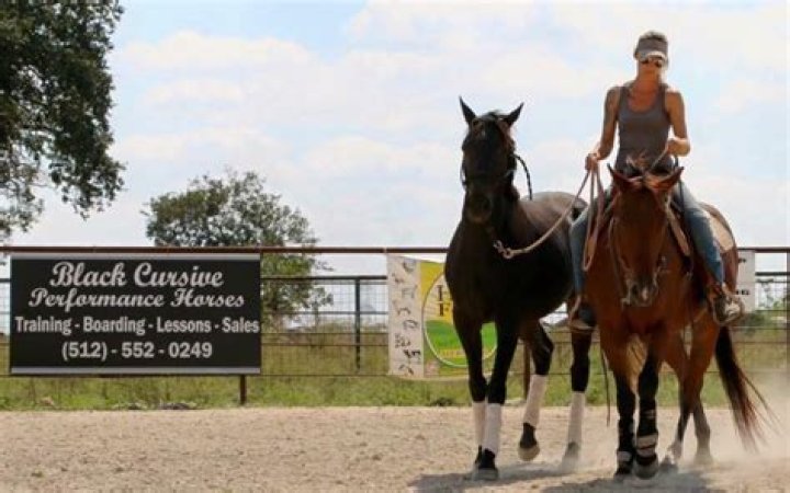 How much do horse trainers get paid per hour?