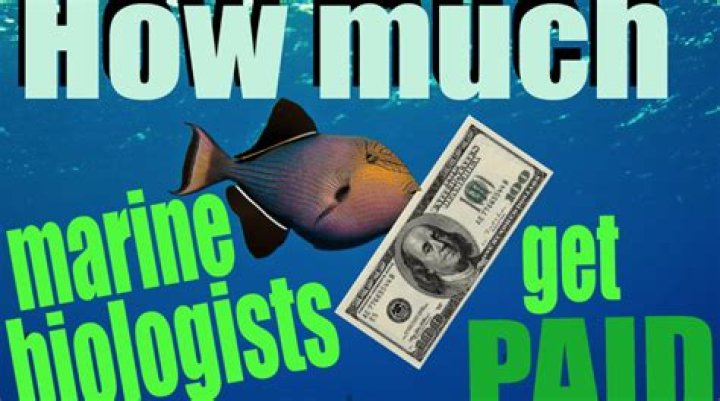 How much do Marine Biologist get paid a week?