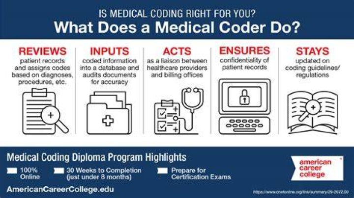 How much do medical coders in Michigan make?