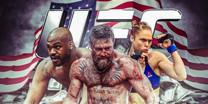 How much do pro fighters make per fight?