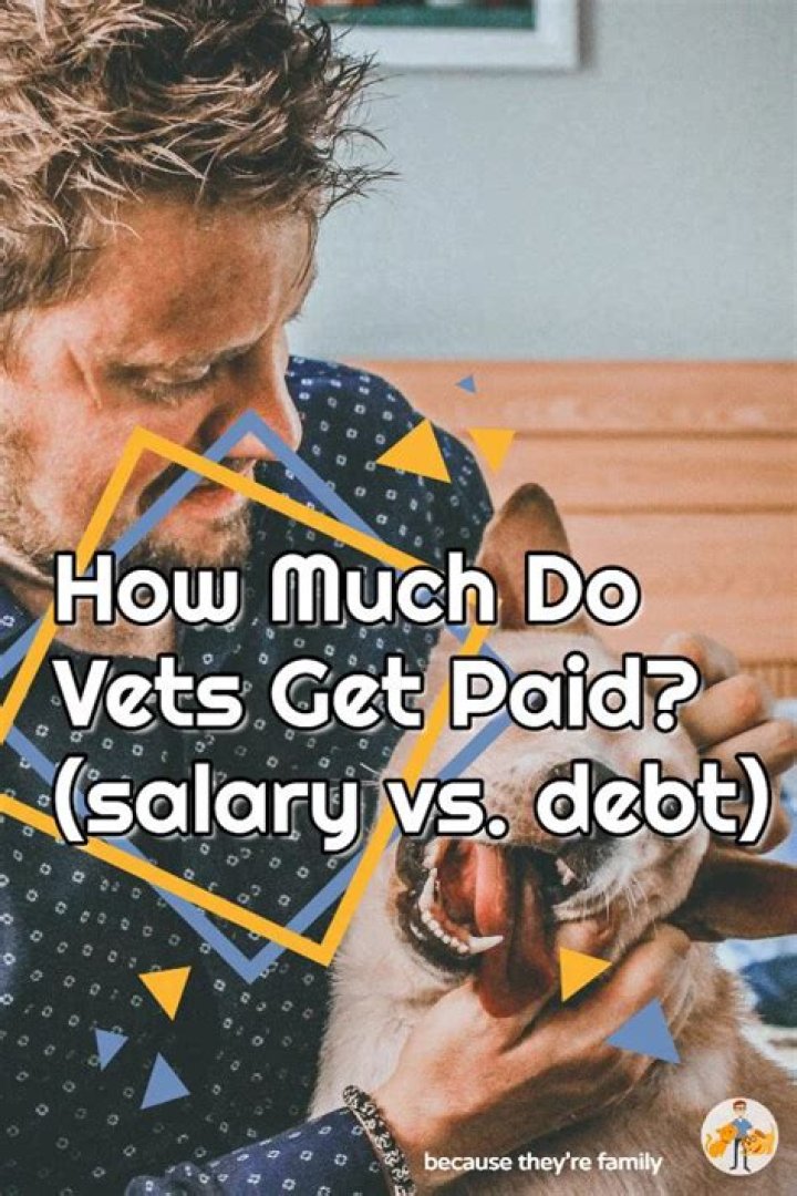How much do vets at zoos get paid?