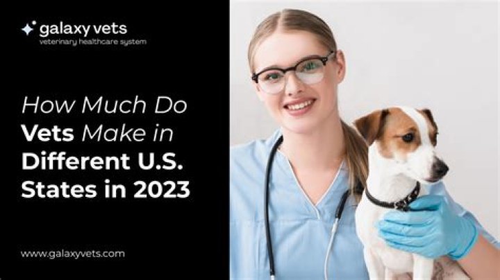 How much do vets make in HK?