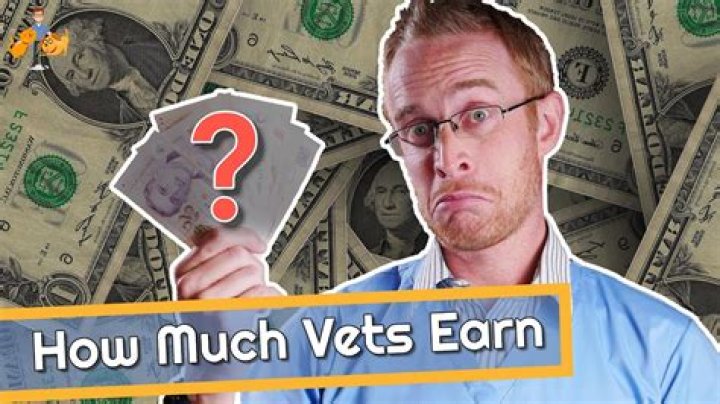 How much do vets make in the UAE?