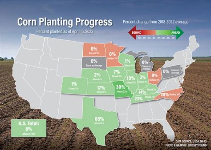 How much do you make detasseling corn in Illinois 2020?