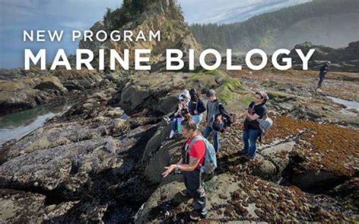How much do you make with a masters in marine biology?