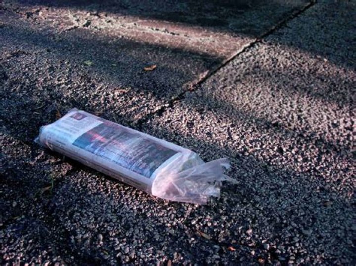 How much do you tip a newspaper carrier per month?