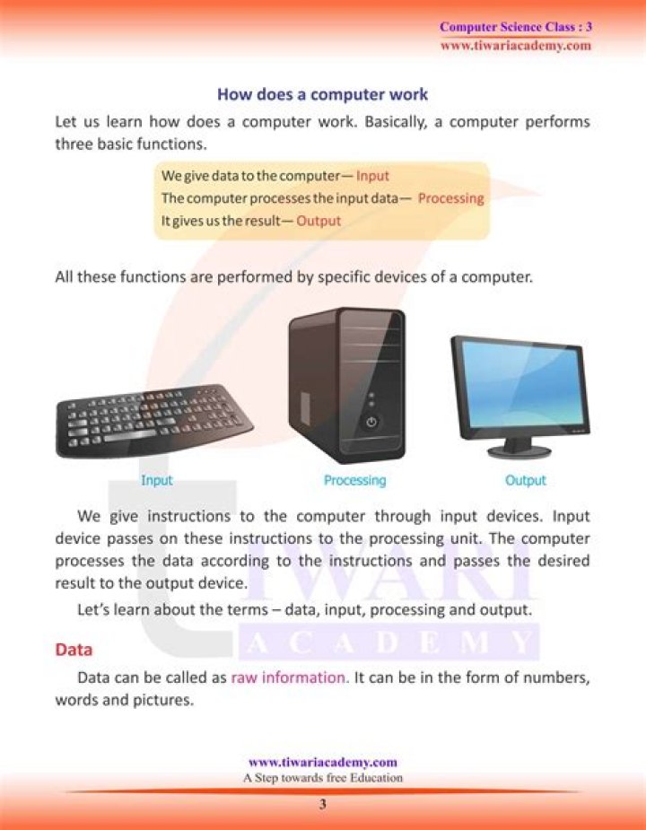 How much does a computer person make a year?
