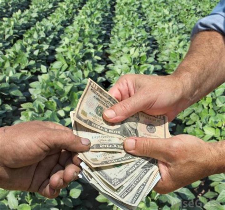 How much does a farmer get UK?