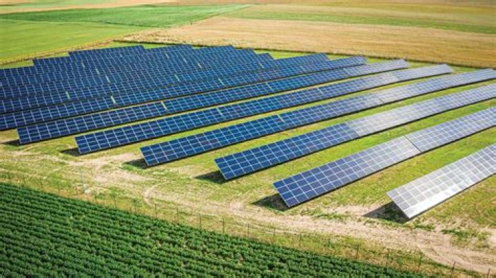 How much does a solar farm make per month?