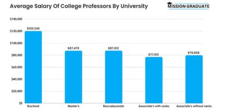 How much does a university professor make in USA?