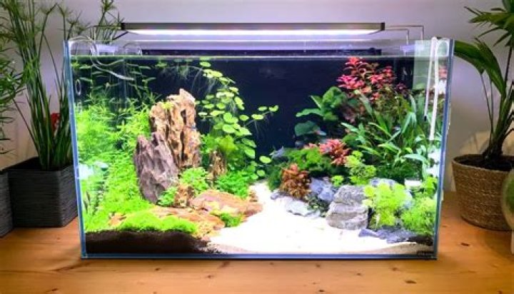 How much does a vet at an aquarium make?