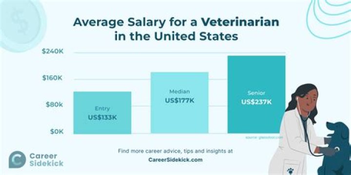 How much does a veterinarian earn UK?