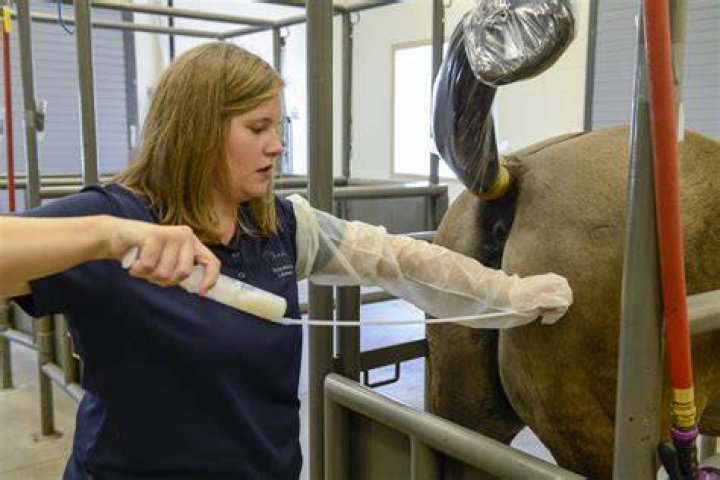 How much does an equine photographer make?